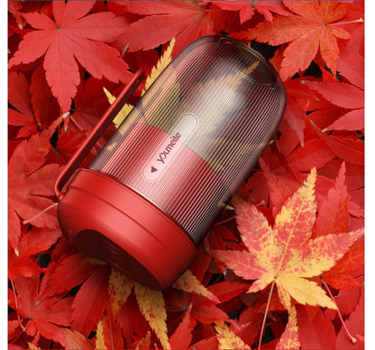 Wireless Mini USB Portable electric juicer
